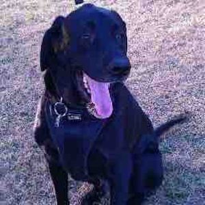 Meet your Posher, Philip